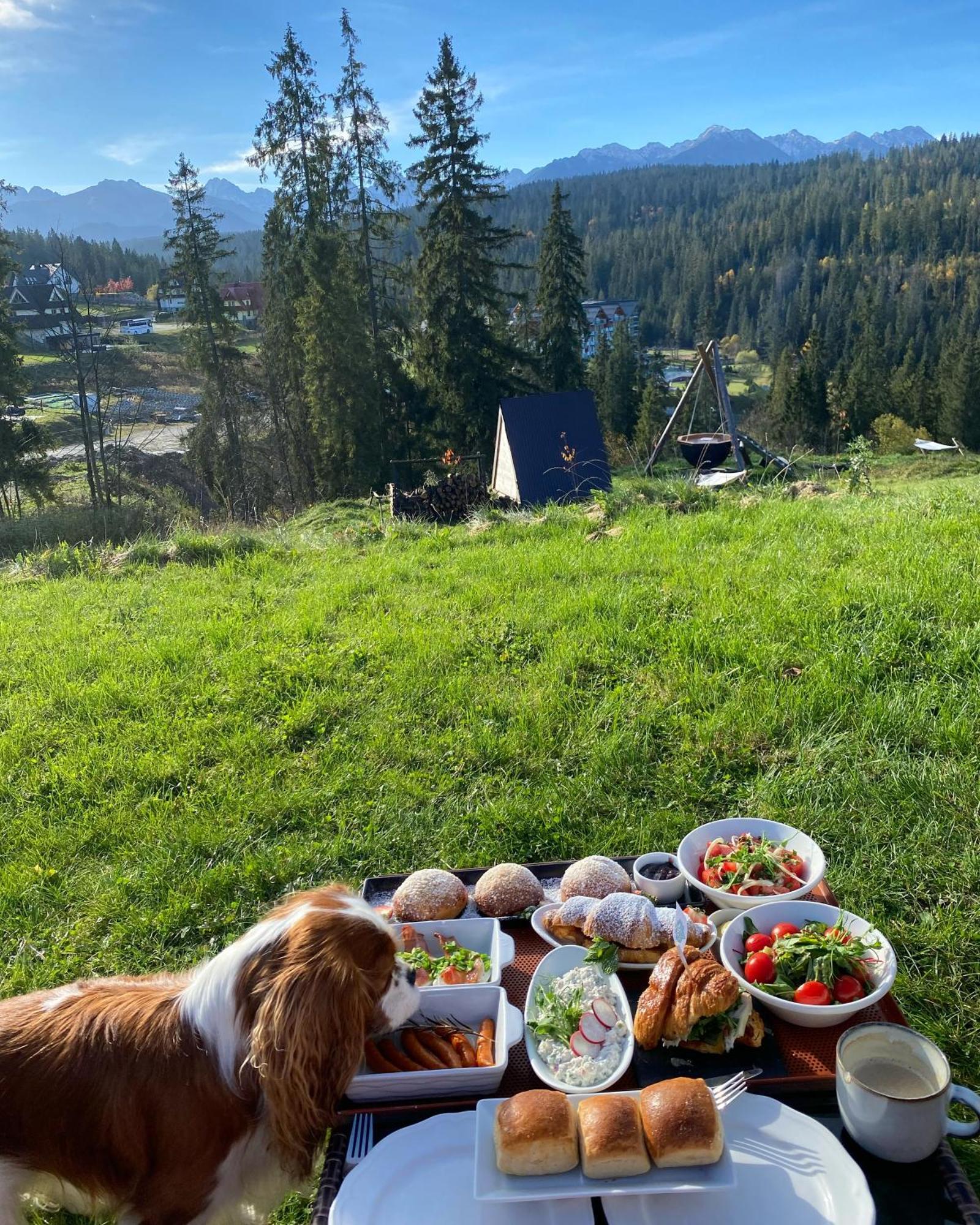 Tatra Glamp - Siec Noclegowa Tatra Glamp Luxury tent