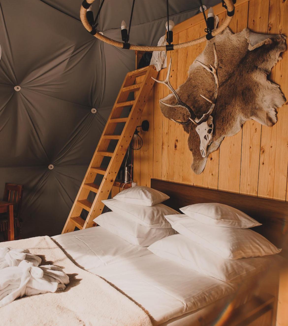Tatra Glamp - Siec Noclegowa Tatra Glamp Luxury tent Bukowina Tatrzanska